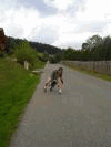 Petite chute ?